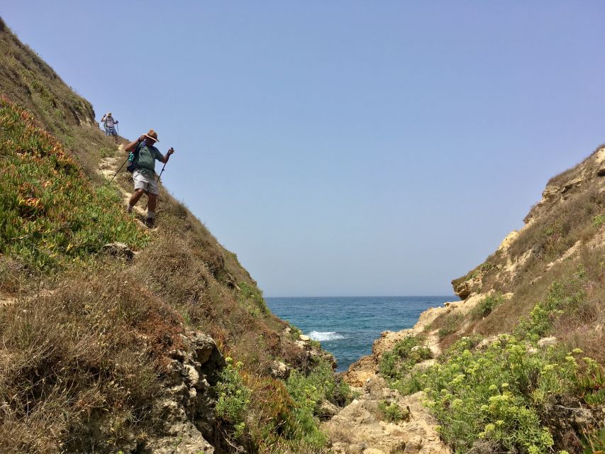 Hiking Tour Along the West Coastline - Following arrows, finding secret beaches, and learning the coastal “why”