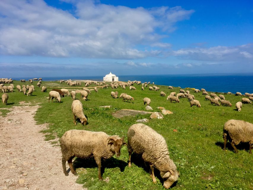 Hiking Tour Along the West Coastline - What to bring for a 14 km medium-difficulty day