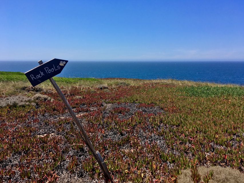 Hiking Tour Along the West Coastline - Getting there from Lisbon, then straight onto Praia das Bicas