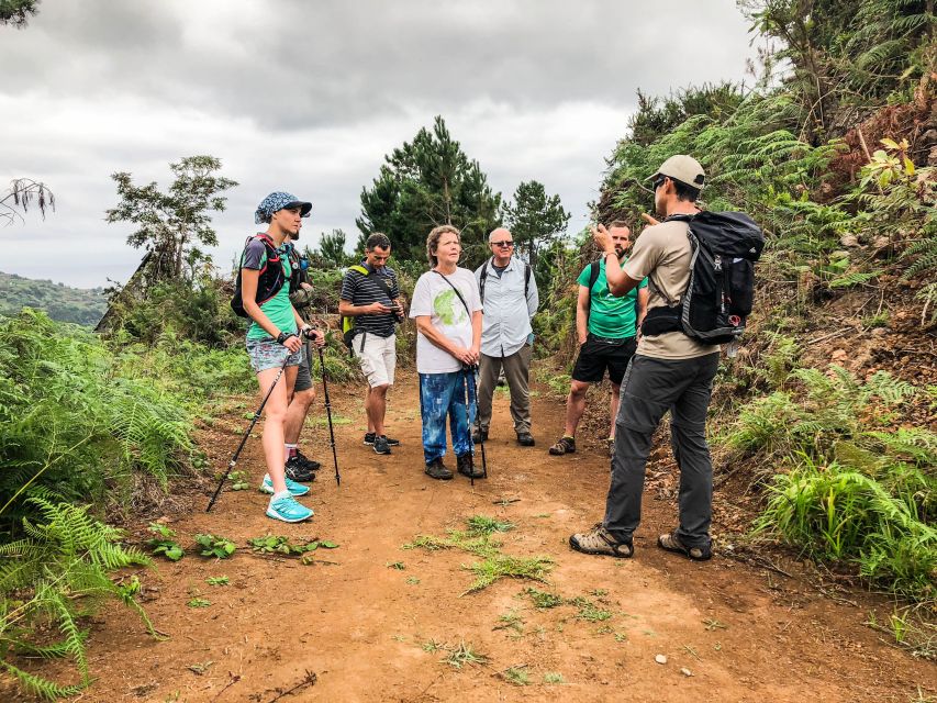 Hiking Trip with a Local - Monday: 25 Fountains, Risco levadas, waterfalls (11 km, difficulty 3)