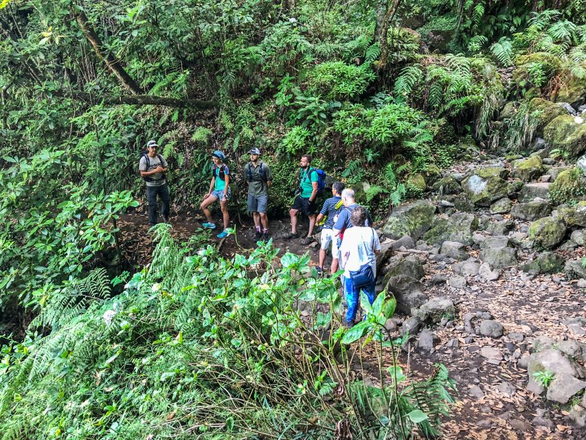 Hiking Trip with a Local - Tuesday: Larano coastal & forest trail (11 km, difficulty 2)
