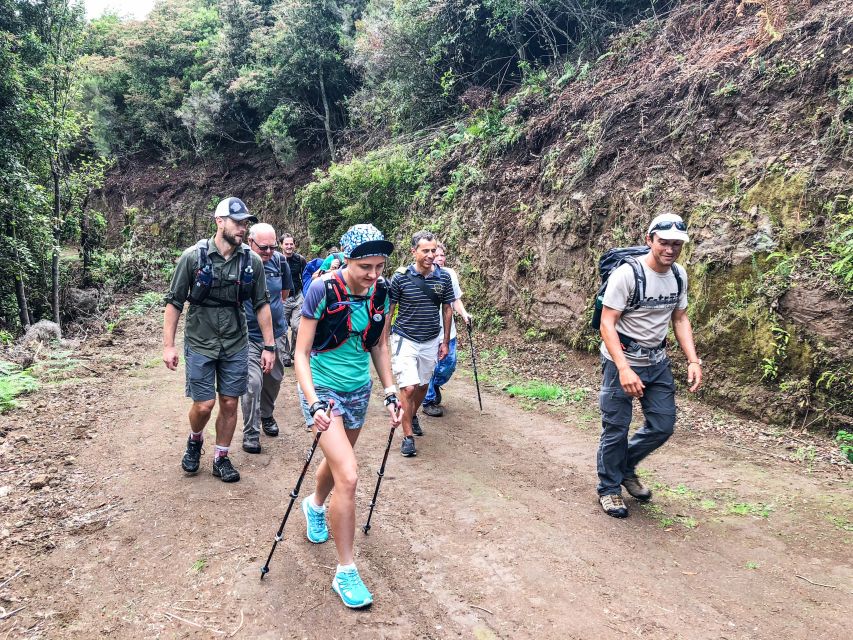 Hiking Trip with a Local - Meet your guide, then trust the pacing