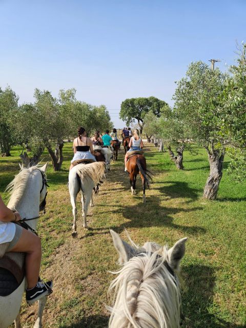 Horseback Riding Through The Beach GROUP - PDT - Should You Book This Tour?