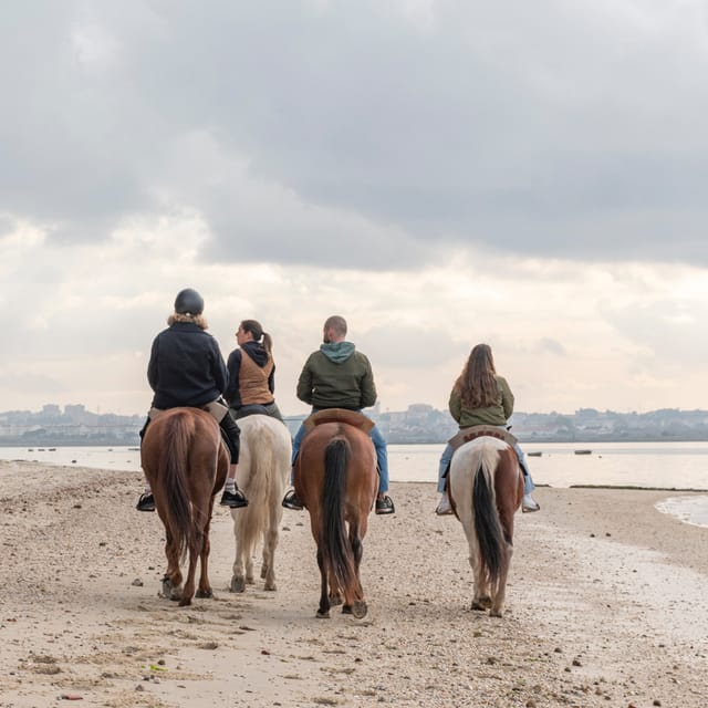 Horseback Riding Through The Beach GROUP - PDT - Horses, Guides, and the First-Timer Experience That Actually Works