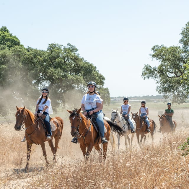 Horseback Riding Through The Beach GROUP - PDT - Duration, Group Size, and How This Fits Your Lisbon Day