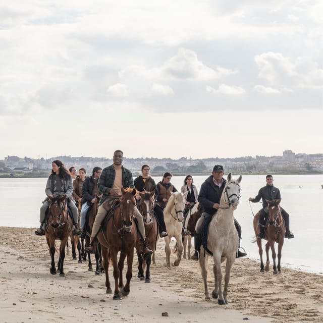 Horseback Riding Through The Beach GROUP - PDT - Price and Value: Why $135 Can Make Sense Here