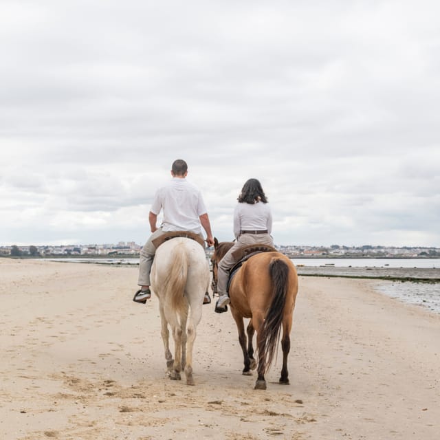 Horseback Riding Through The Beach GROUP - PDT - What to Bring, What to Wear, and What to Expect From the Weather