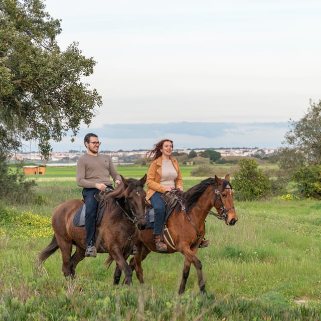Horseback Riding Through The Beach GROUP - PDT - Who This Horseback Ride Suits Best