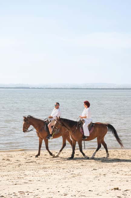 Horseback Riding Through The Beach GROUP - PDT - Arena Safety Briefing: How They Get You Riding Without Guesswork