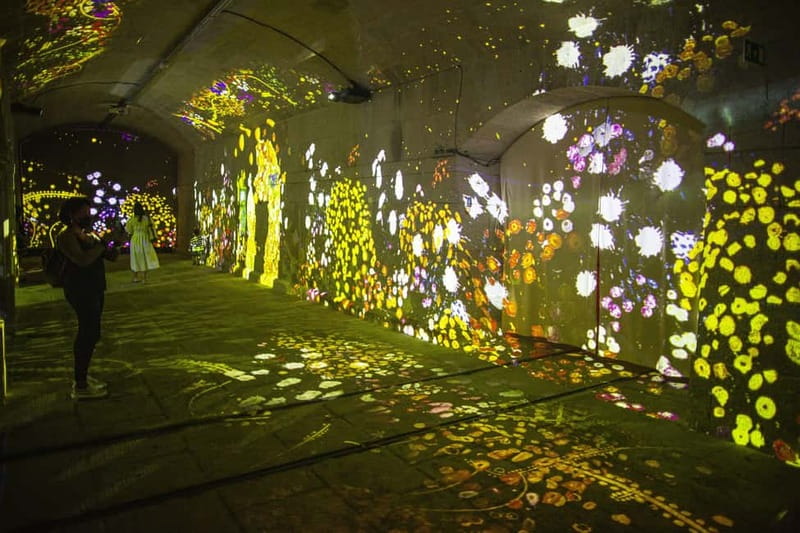 Impressive Monet & Brilliant Klimt -The Immersive Experience - Value for rainy days, and when photos make sense