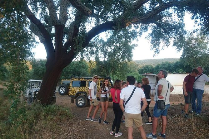 Jeep Safari Tour - Full Day - Stop 3: Sarnadas cork country and off-road peaks