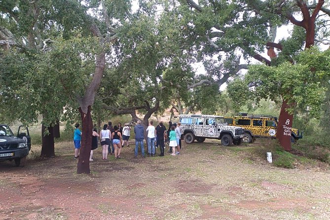 Jeep Safari Tour - Half Day - Paderne Castle: a quick visit with real Moorish weight