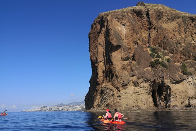 Kayak and Snorkeling Tour in Underwater Nature Reserve Garajau - Madeira’s Garajau reserve: what makes this water special