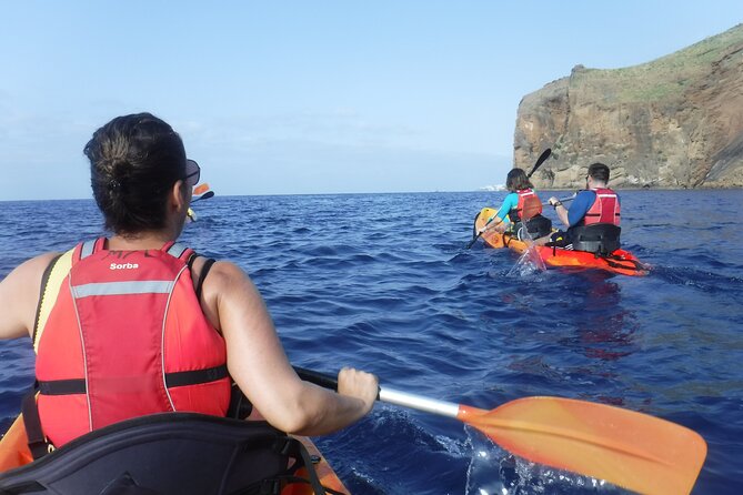 Kayak and Snorkeling Tour in Underwater Nature Reserve Garajau - What you can realistically see: fish, tropical flair, and luck