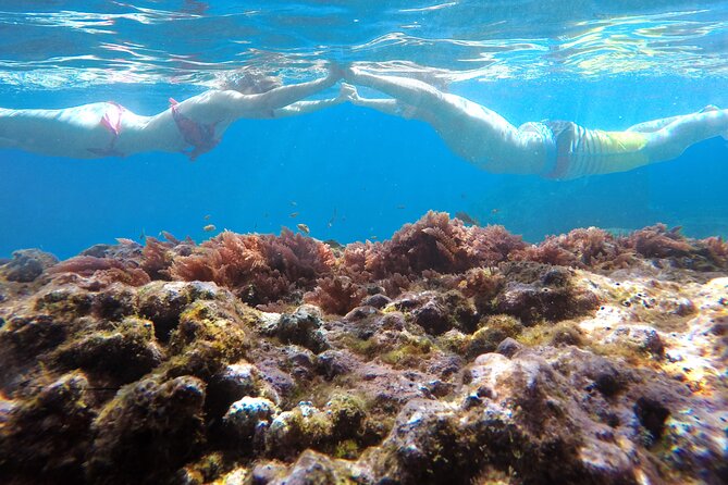 Kayak and Snorkeling Tour in Underwater Nature Reserve Garajau - Who this tour suits best (and who should skip)
