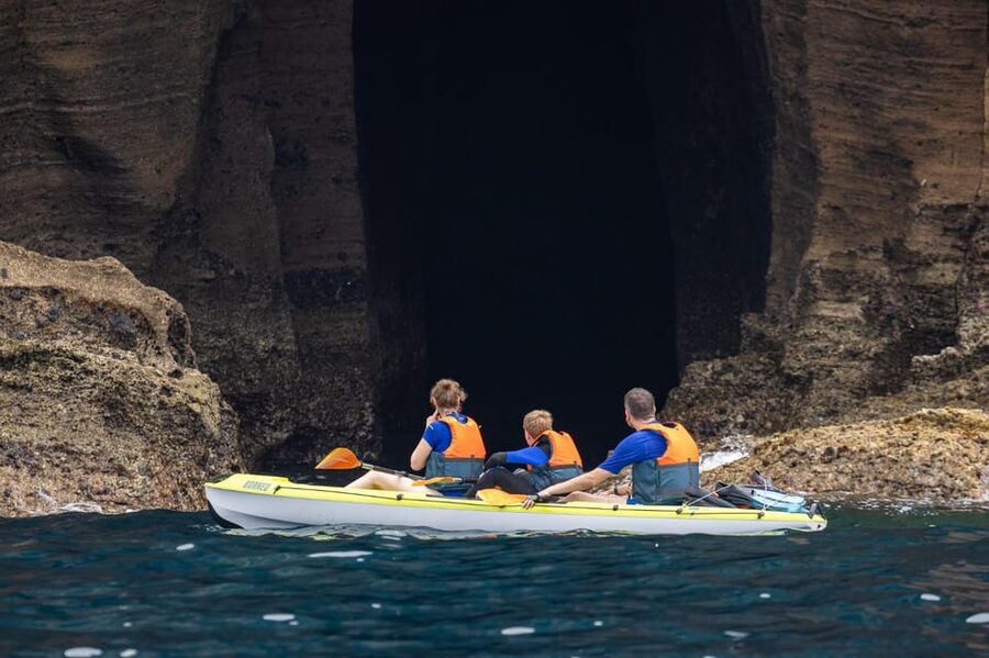 Kayak Guided Tour: Vila Franca do Campo Islet - Swimming and Snorkeling: What You Can Expect in Open Ocean Waters