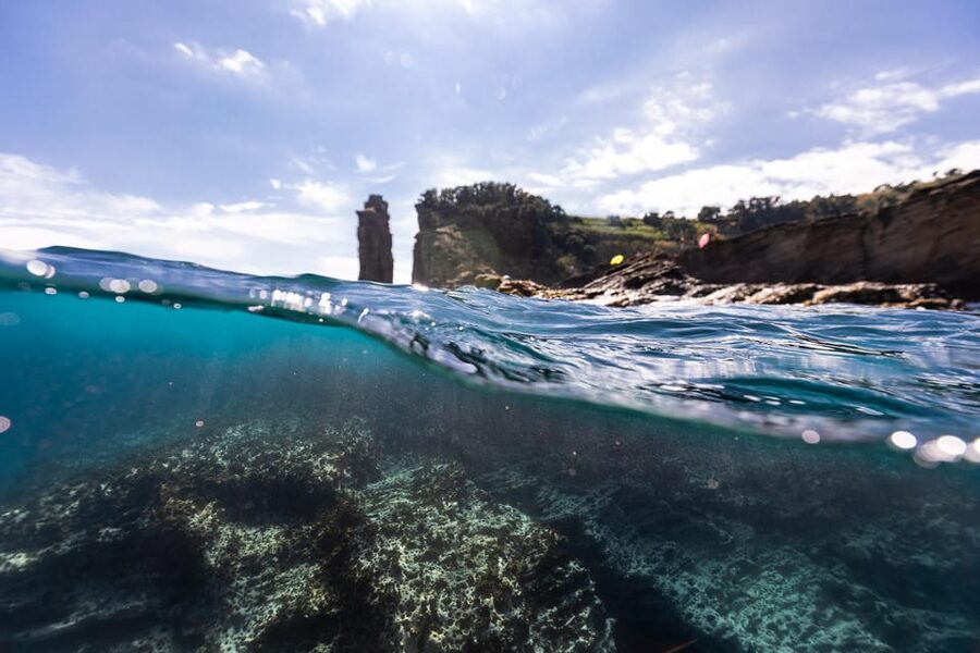 Kayak Guided Tour: Vila Franca do Campo Islet - How the Guides Shape the Experience (Pedro, Casimiro, Eloise)