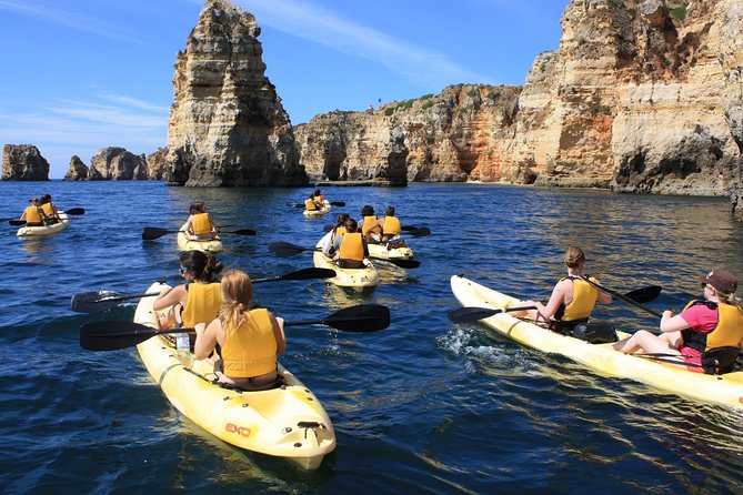 Kayak tour in Lagos to visit the caves. - Coastal flora and fauna talk, while you paddle instead of waiting