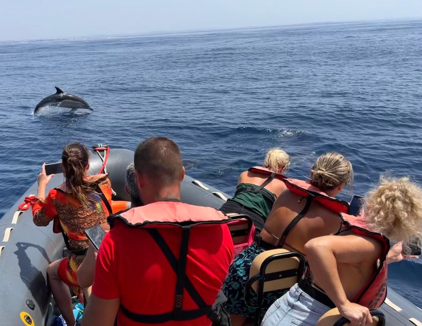 Lagoa: Dolphins Expedition with biologist guide on board - Lagoa dolphins from Parchal: what makes this safari different