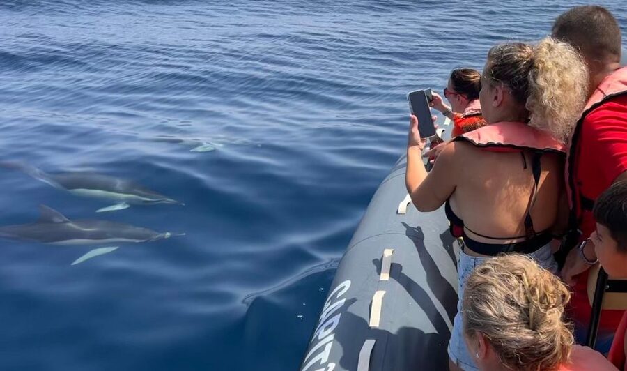 Lagoa: Dolphins Expedition with biologist guide on board - Getting there at Capitão Nemo Algarve: parking, pier rules, and bathrooms