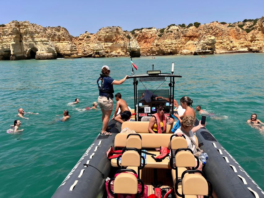 Lagoa: Dolphins Expedition with biologist guide on board - Price and value: what $82 buys you