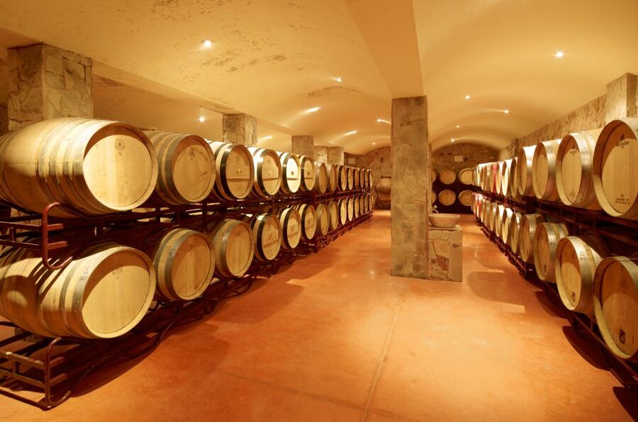 Lagoa: Guided Winery Tour and Local Wine Tasting - What the 1.5-Hour Visit Feels Like in Real Time