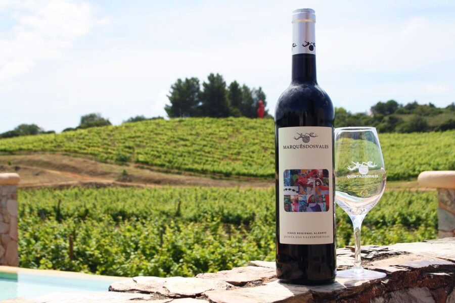 Lagoa: Guided Winery Tour and Local Wine Tasting - Price and Value: Is $42 a Good Deal for This Wine Tour?