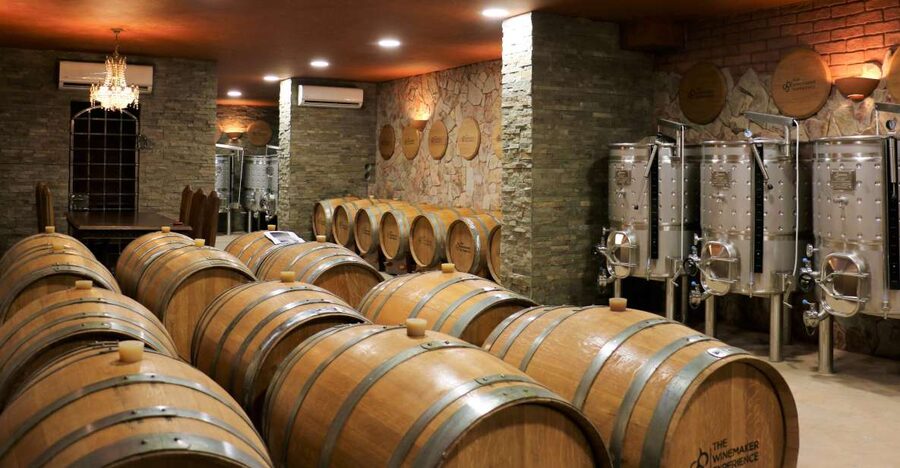 Lagoa: Guided Winery Tour and Local Wine Tasting - Inside the Winery: What the Tour Guide Actually Shows You