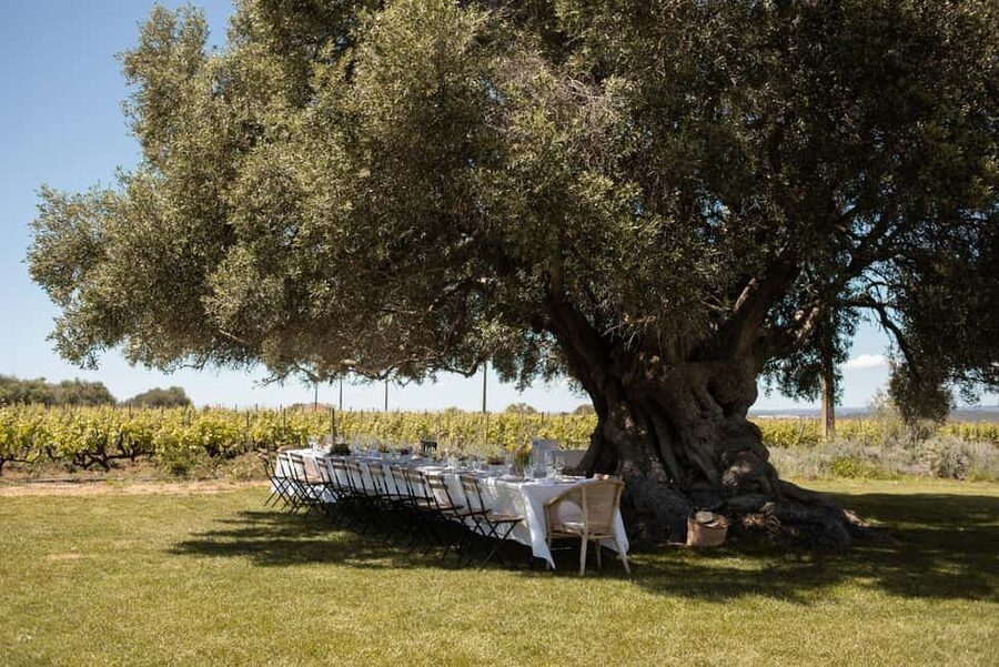 Lagoa: Vineyard Tour and Wine Tasting - Practical tips so you enjoy it more