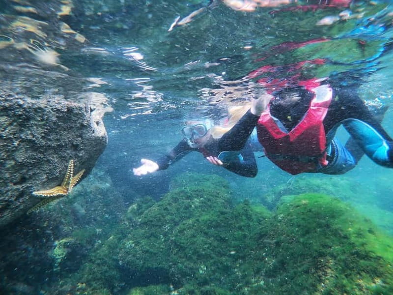 Lagos: Algarve Coasteering and Snorkeling Adventure - The quick hike at Vila do Bispo and Raposeira