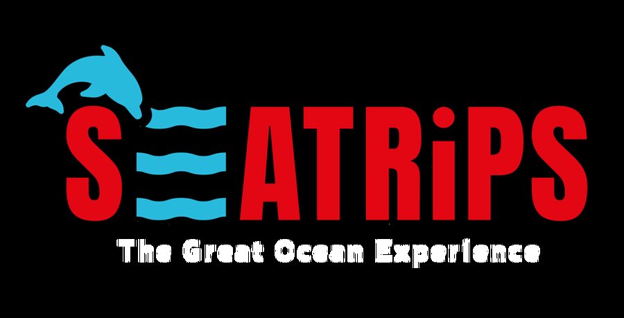 Lagos: Combo Dolphin and Benagil Tour with Marine Biologist - Lagos Marina to the Open Atlantic: how the Hurricane ride sets the tone