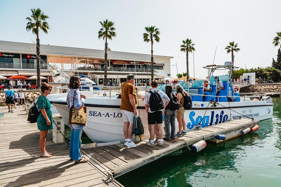 Lagos: Dolphin Watch Tour with Professional Marine Biologist - Price and value: what you’re paying for
