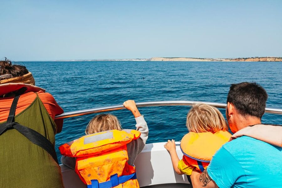 Lagos: Dolphin Watch Tour with Professional Marine Biologist - From Lagos marina to the Atlantic: why this tour feels worth $42