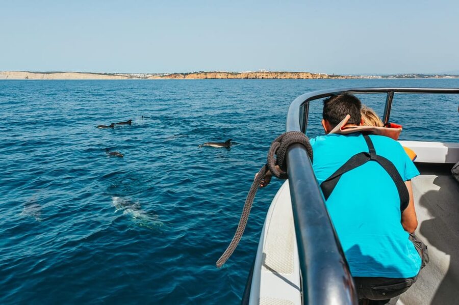 Lagos: Dolphin Watch Tour with Professional Marine Biologist - Marine biologist on board: the facts you’ll actually want to remember