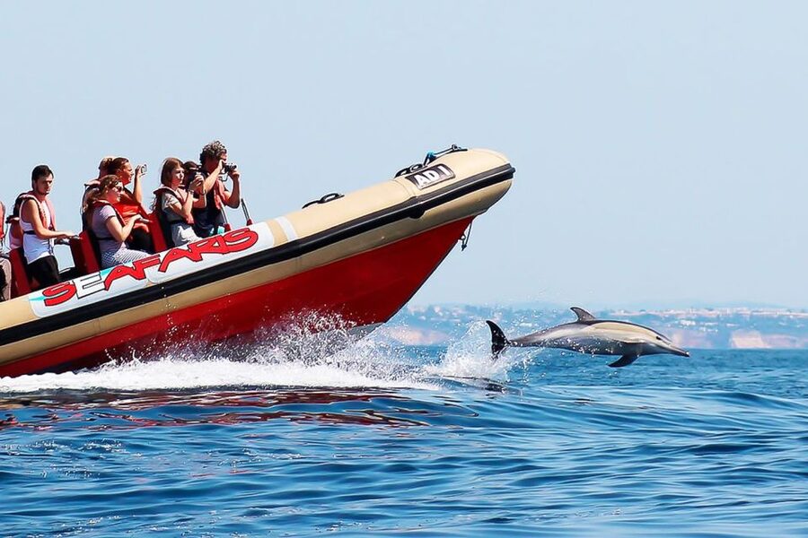Lagos: Dolphin Watching with Professional Marine Biologists - Ethical dolphin watching rules you will feel onboard