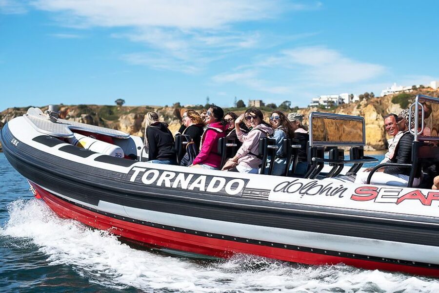 Lagos: Dolphin Watching with Professional Marine Biologists - Price and value: is $40 a fair deal?