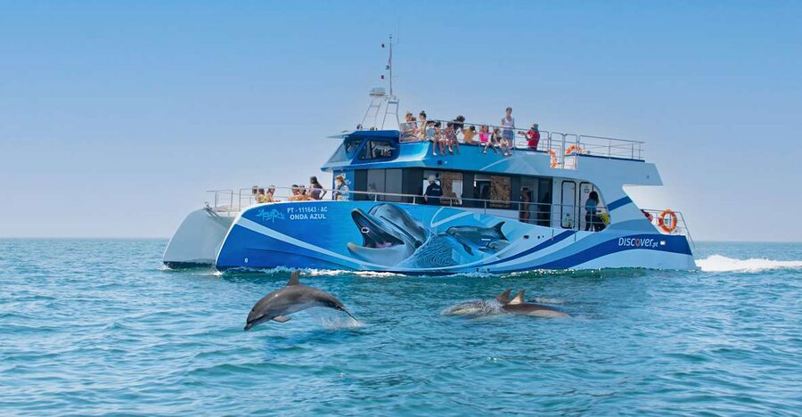 Lagos: Dolphins & Caves - Catamaran - Key highlights you’ll actually care about
