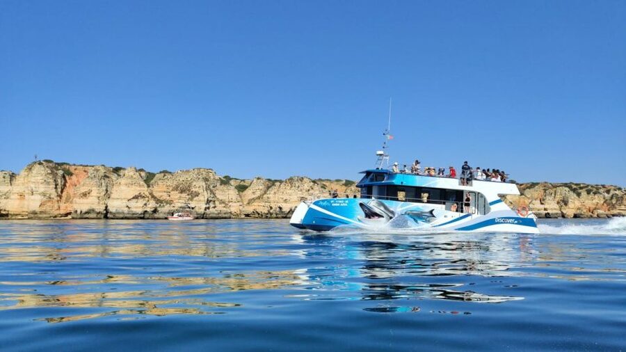 Lagos: Dolphins & Caves - Catamaran - The dolphin search: what you should expect to see