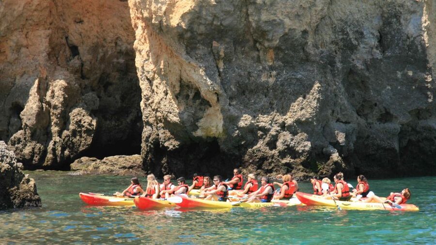Lagos: Kayaking Tour - Price and value: what you get for around $47