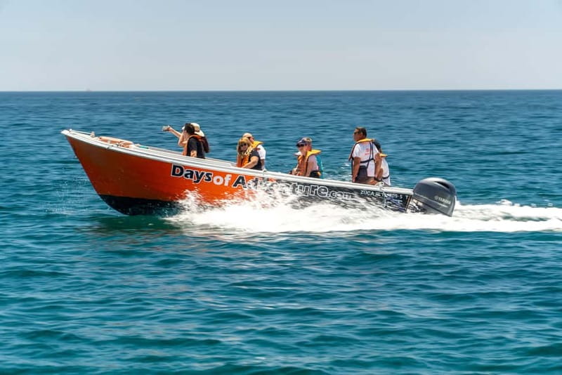 Lagos: Ponta da Piedade Caves Boat Tour - Weather and tide tips, getting the most from sea conditions