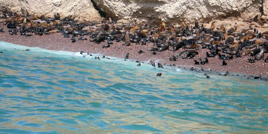 Lagos/Praia da Luz: Wine Tour, Tastings, Tapas, and Music - Private pickup options from Lagos and Praia da Luz, plus how timing works