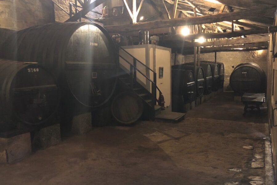 Lamego: Quinta da Portela de Baixo Winery Tour and Tasting - Key highlights you will feel right away