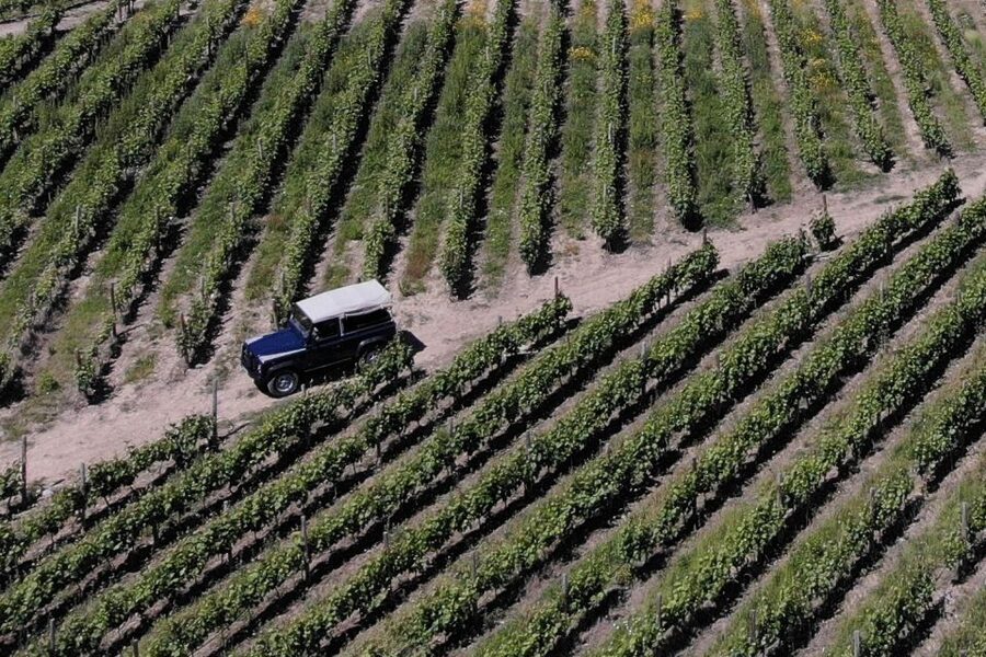 Lamego: Quinta da Portela de Baixo Winery Tour and Tasting - Museum time: the Wine Cellar Museum and its 200-year scope