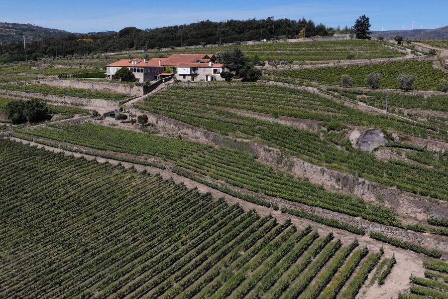 Lamego: Quinta da Portela de Baixo Winery Tour and Tasting - Views over the Douro foothills: why timing changes the whole mood