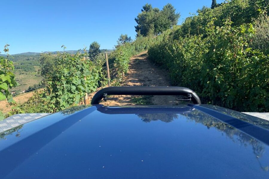 Lamego: Quinta da Portela de Baixo Winery Tour and Tasting - Price and value: what $35 buys in real experience time