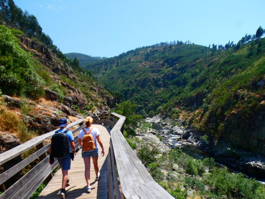 Leave Porto and go hiking in the Paiva Walkways, Arouca - The smooth Porto to Paiva transfer that keeps your day on track
