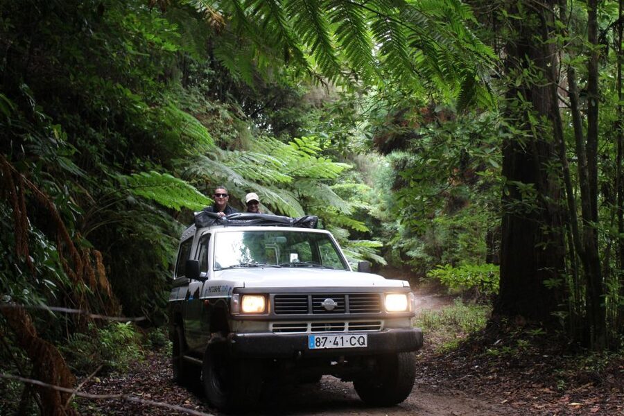 Let-Me-Surprise-You Madeira Full Day Private Tour - How a flexible 8-hour day actually feels