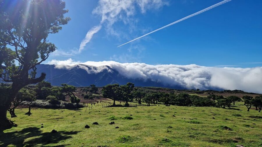 Let-Me-Surprise-You Madeira Full Day Private Tour - What to bring so your day stays fun