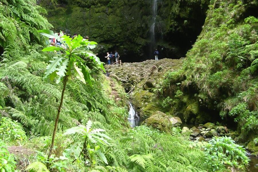 Levada Walk and Caldeirao Verde Waterfalls: Madeira - Madeira’s Levadas, and why this walk feels local