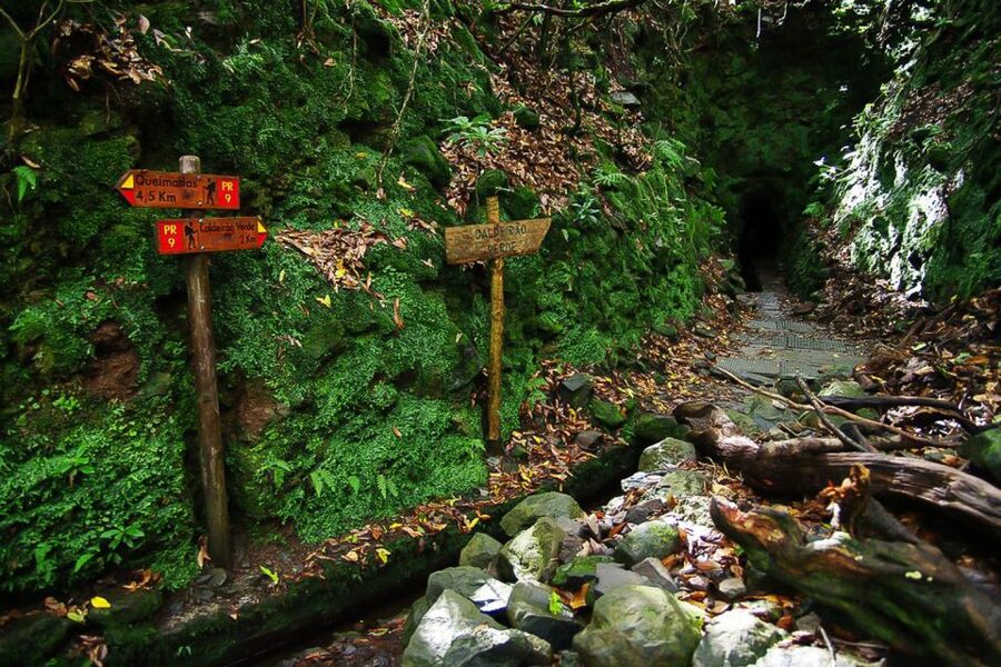 Levada Walk and Caldeirao Verde Waterfalls: Madeira - Price and value at about $46, plus the add-ons you should plan for